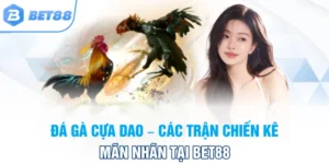đá gà cựa dao