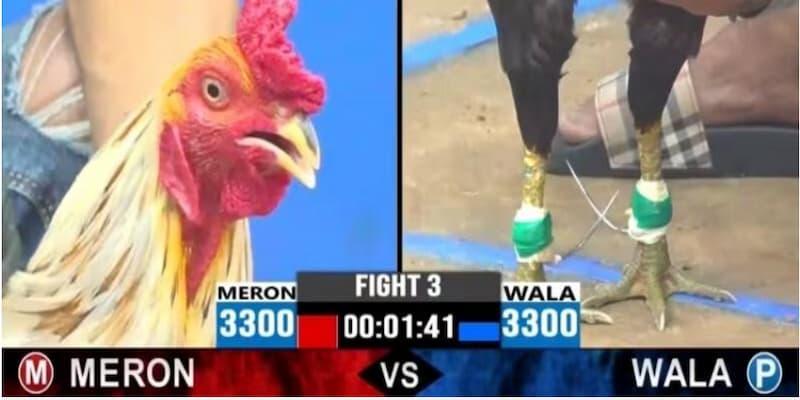 Thành viên dễ dàng lựa chọn các cửa cược chọi gà cựa sắt tại BET88