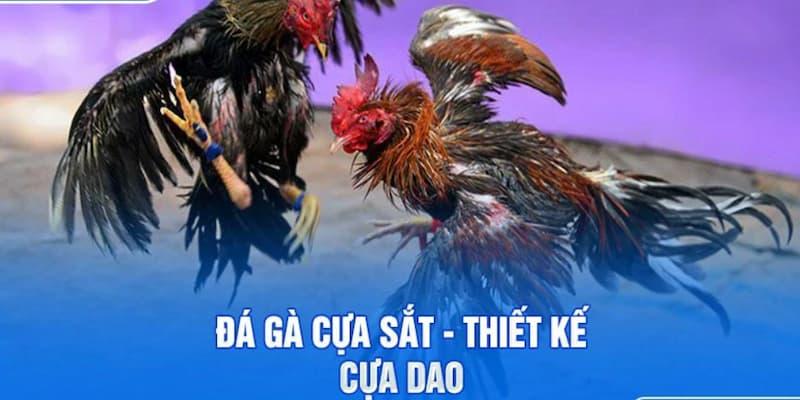 Nền tảng mang đến cho hội viên đa dạng lựa chọn đặc sắc