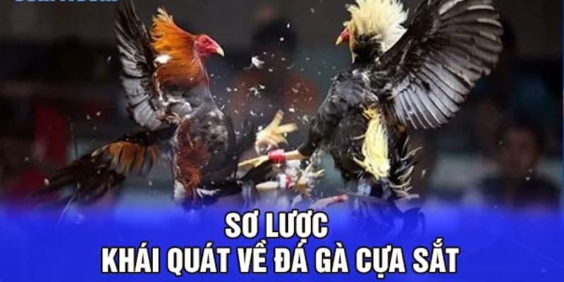 Thông tin về hình thức đá gà cựa sắt nổi bật trong thời gian qua