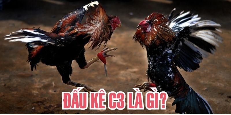 Khái niệm cách xem kê đấu C3