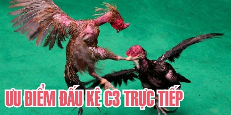 Cách đá gà C3 làm mưa làm gió trong cộng đồng