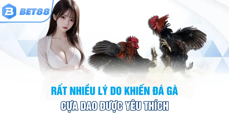 Rất nhiều lý do khiến đá gà cựa dao tại Bet88 được yêu thích