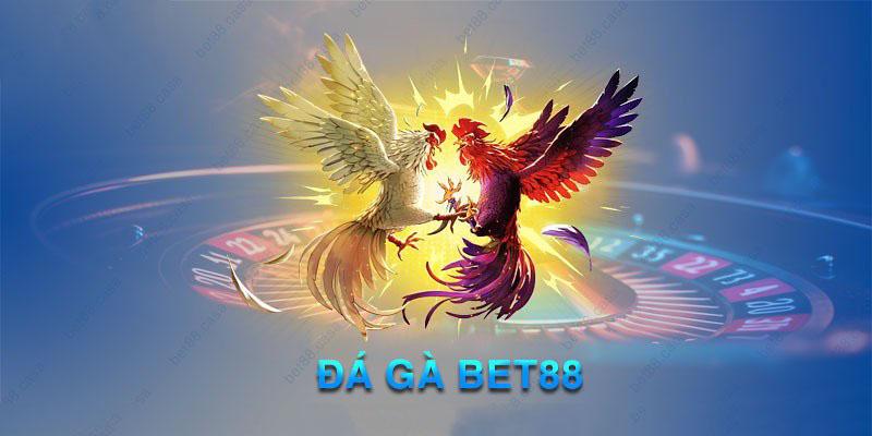 Đá gà Bet88 uy tín xanh chín